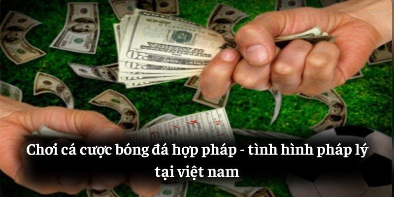 Chơi cá cược bóng đá hợp pháp: tình hình pháp lý tại việt nam