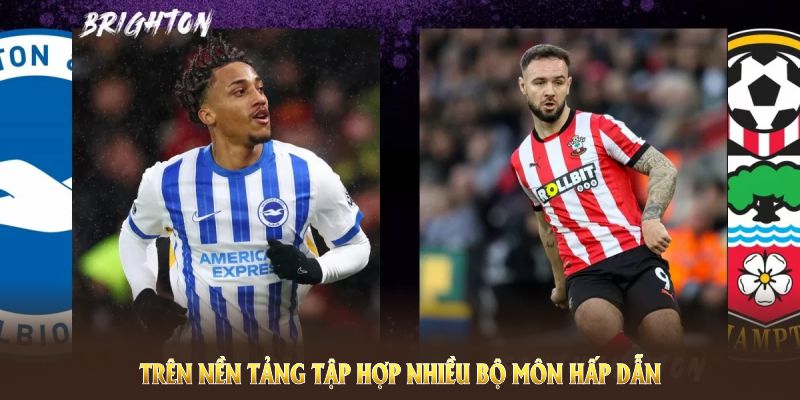 Trên nền tảng tập hợp nhiều bộ môn hấp dẫn 